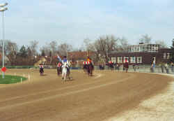 daglfing01.jpg (110692 Byte)